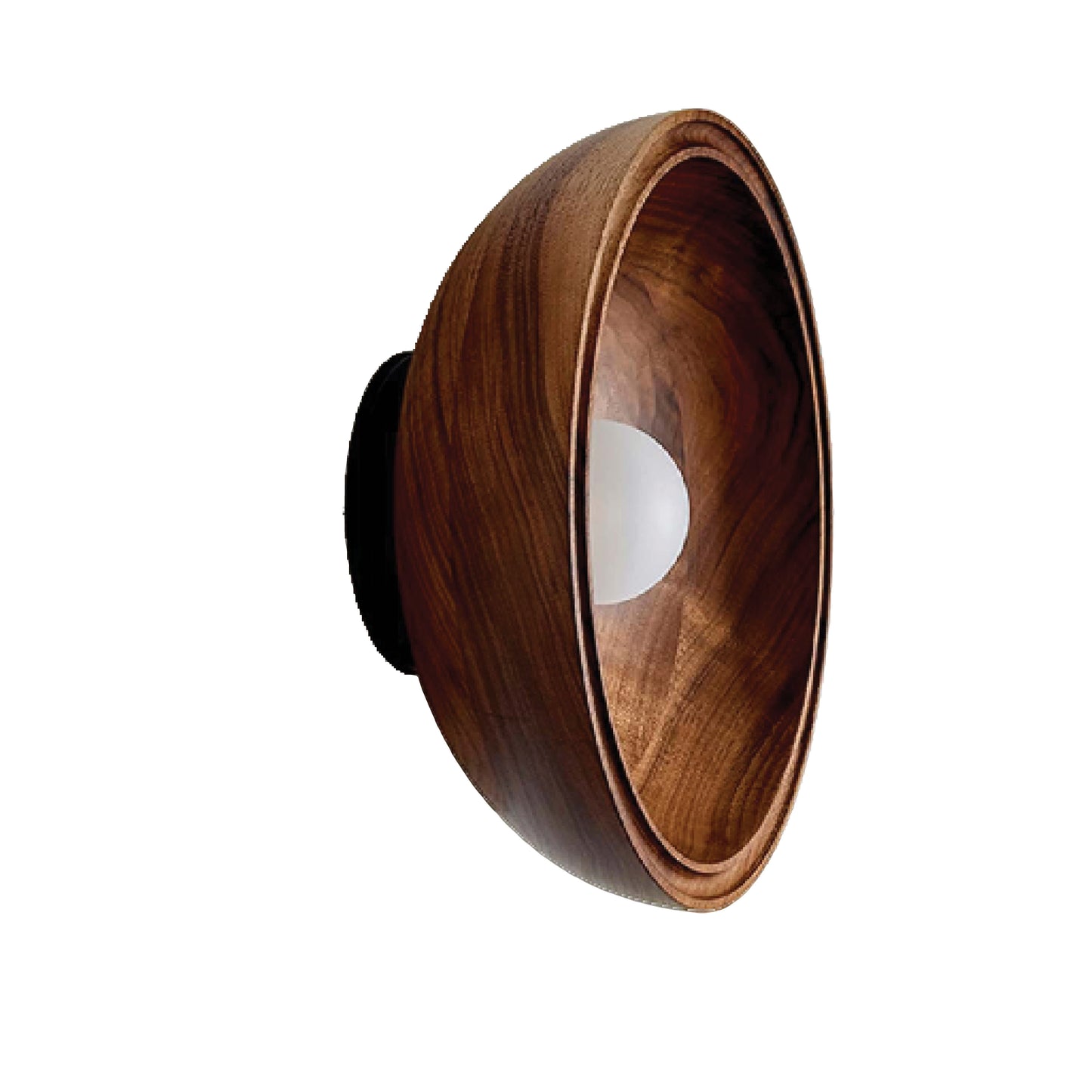 Selene Surface Sconce