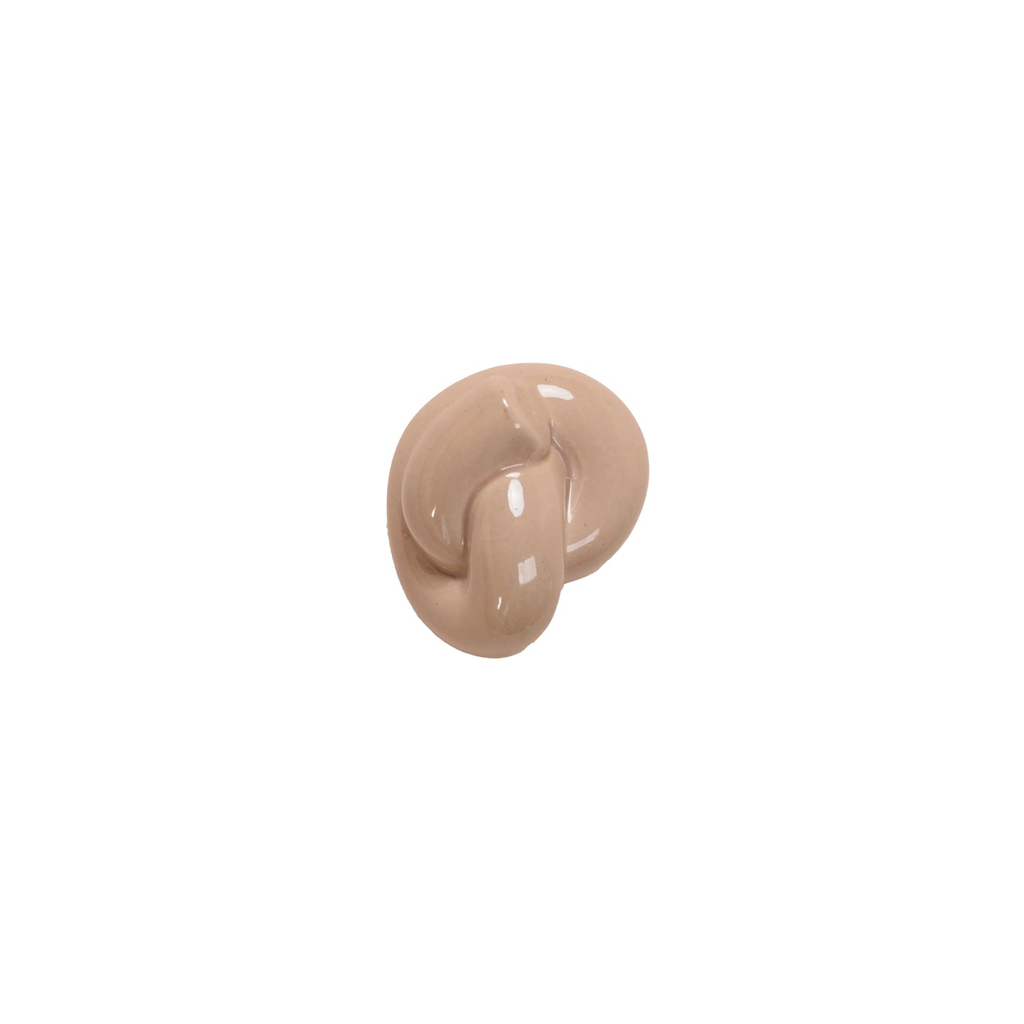 Fossil Wall Hook | The Serpent